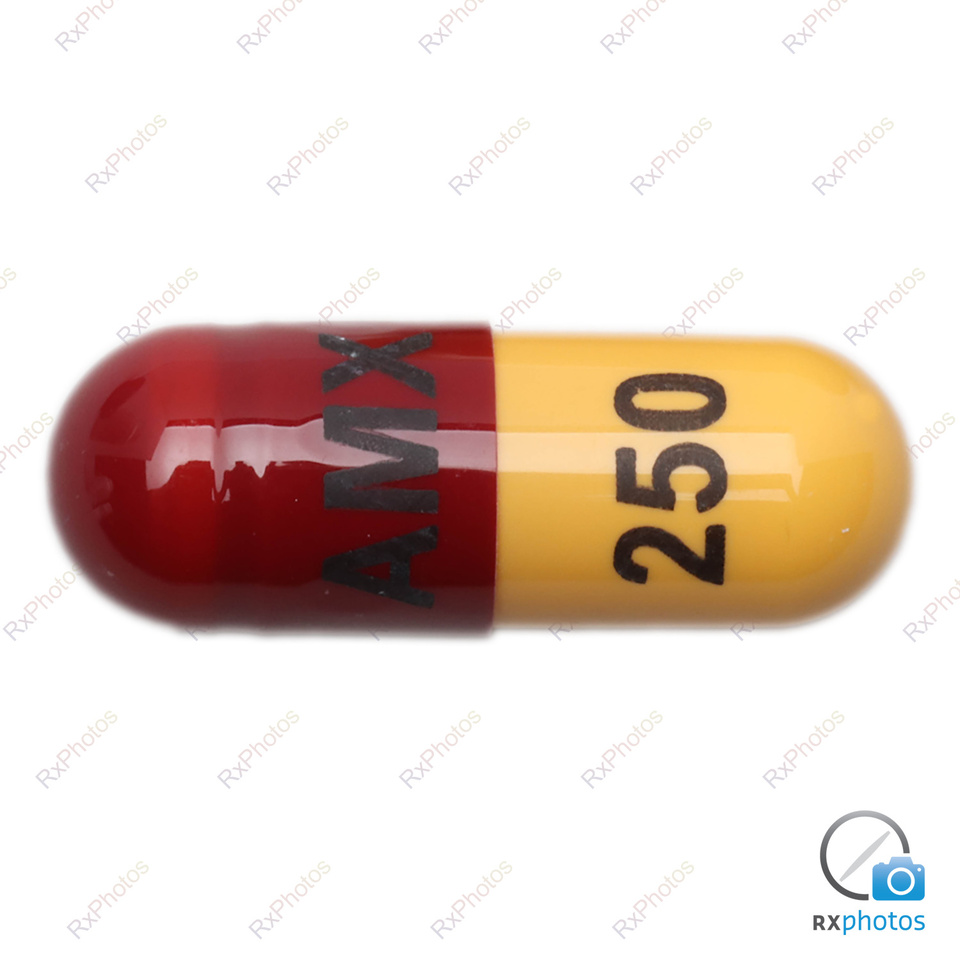 Apo Amoxi capsule 250mg