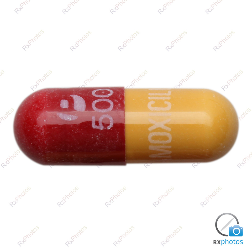 Pms Amoxicilline capsule 500mg