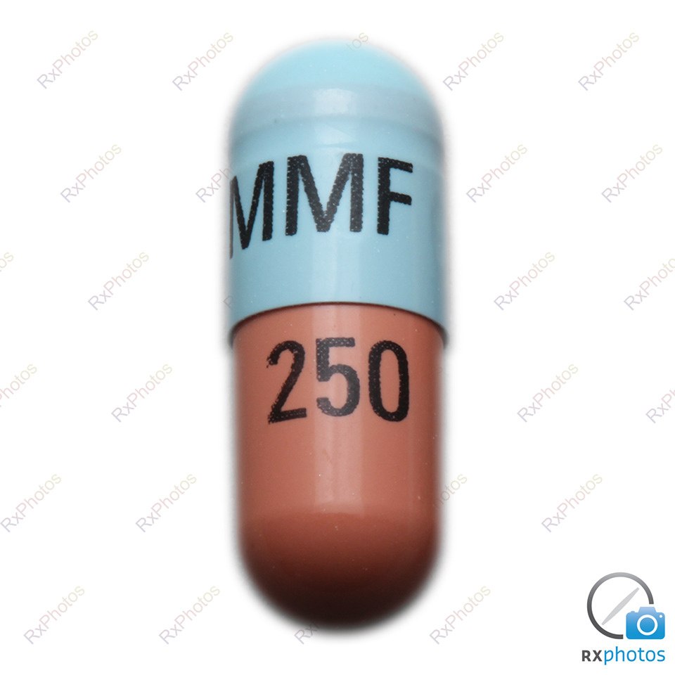 Jamp Mycophenolate capsule 250mg