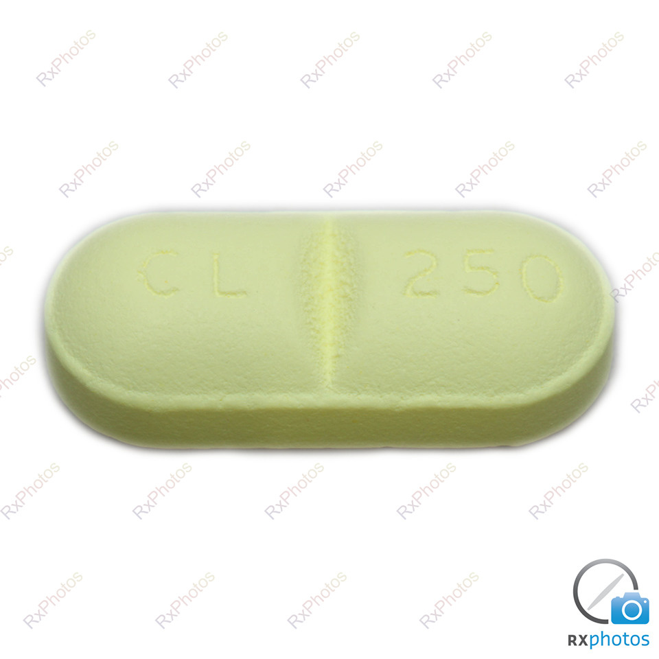 Clarithromycine comprimé 250mg