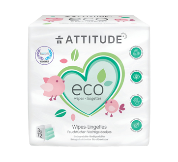 compostable wet wipes
