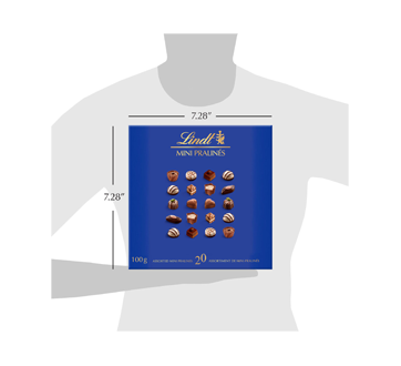 Image 5 of product Lindt - Mini Pralinés Assorted Mini Pralines, 100 g