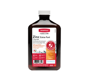 Zinc Extra Strength Liquid, 350 ml