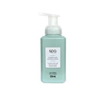 Foaming Hand Soap, Eucalyptus & Mint, 236 ml