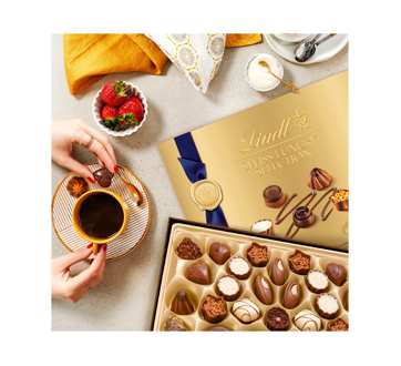 Lindt SWISS LUXURY SELECTION Assorted Chocolate Pralines Gift Box, 410g