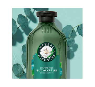 Image 3 of product Herbal Essences - Scalp Balance Shampoo, Eucalyptus, 400 ml