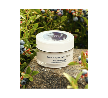 Image 2 of product Ta peau, ton fruit - Wild Blueberry Facial moisturizer, 50 ml