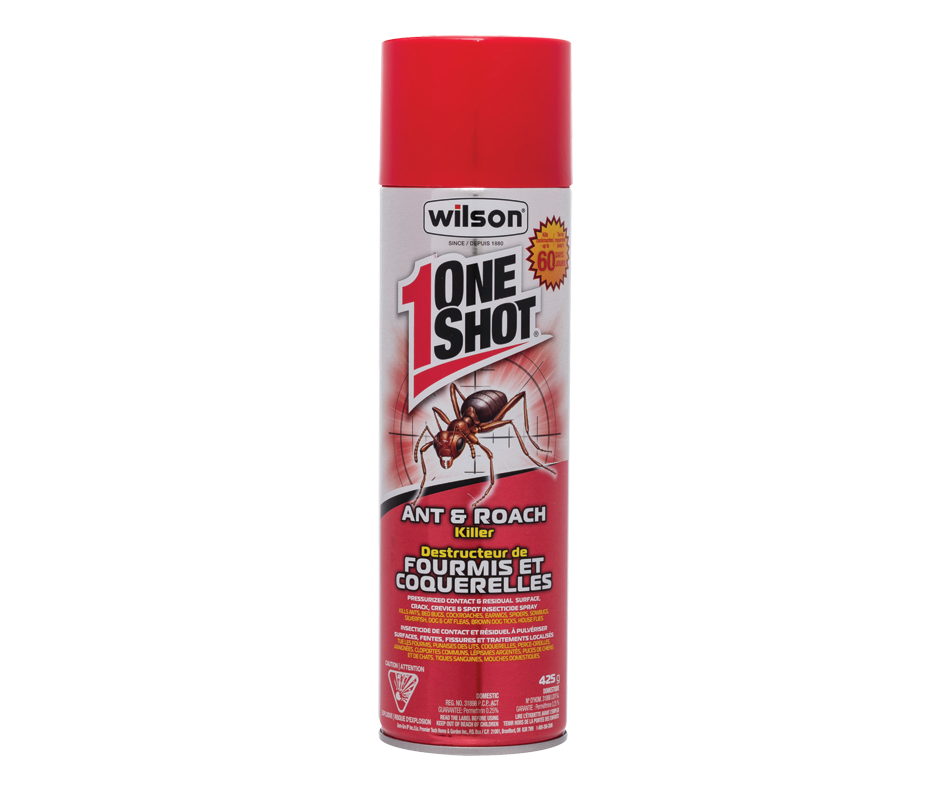 One Shot Ant & Roach Killer, 425 g – Wilson : Insecticide | Jean Coutu