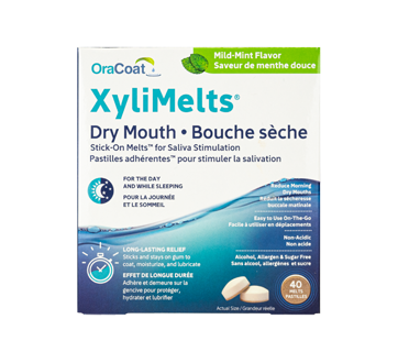 XyliMelts Adhering Pastilles, 40 units, Mild Mint