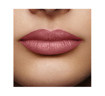 Image 2 of product L'Oréal Paris - Colour Riche Original Satin Lipstick, 4.8 g Made In Paris - 110