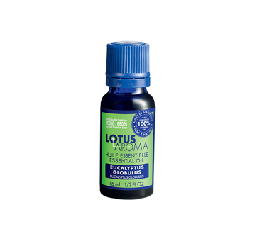 Huile essentielle d'eucalyptus globulus, 15 ml – Lotus Aroma : Huiles  essentielles