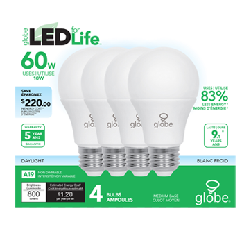 Globe ampoule DEL 60W A19, 4 unités, blanc froid – Globe Electric : Ampoule  électrique