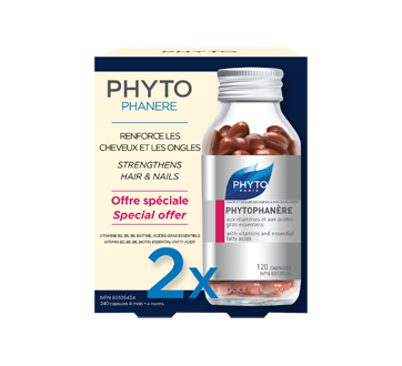 Phytophanere duo, 240 unités