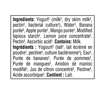 Image 6 du produit Gerber - Purée pour bébés et tout-petits faite avec du yogourt et des vrais fruits, banane, pomme, mangue et yogourt, 94 ml