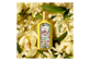 Vignette 3 du produit Gucci - Flora Gorgeous Orchid eau de parfum, 50 ml