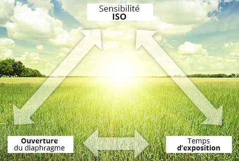 The exposure triangle