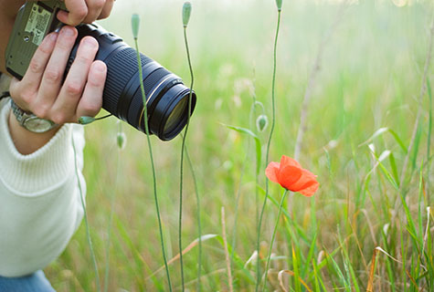 Taking a nice picture of flowers can be tricky.