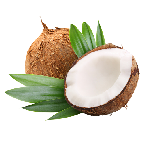 Santé et cosmétique : les bienfaits de l'huile de coco